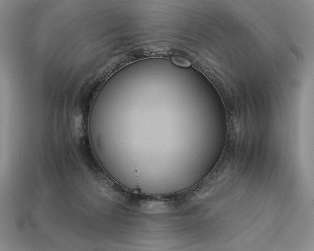 X0000113140224200909181736