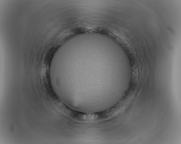 X0000113140225200909181736