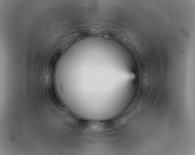 X0000113140226200909181736