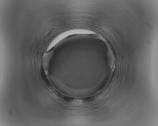 X0000113140227200909181736