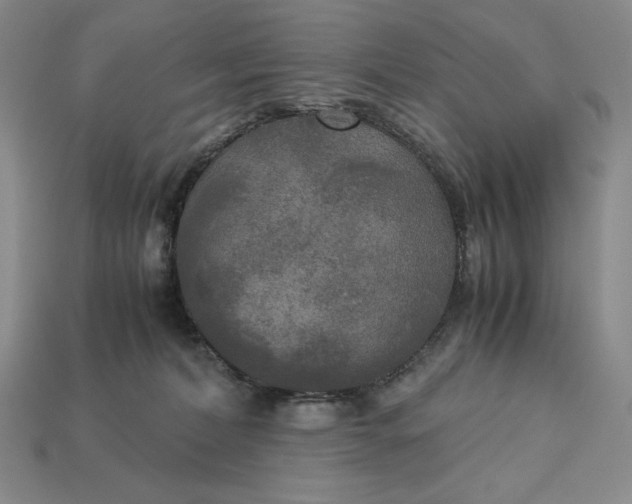 X0000113140228200909181736