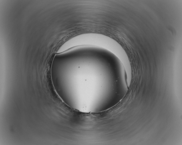 X0000113140229200909181736