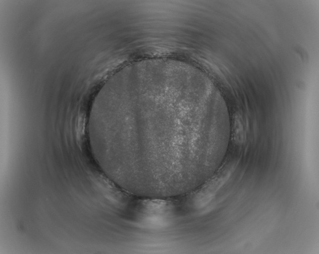 X0000113140230200909181736