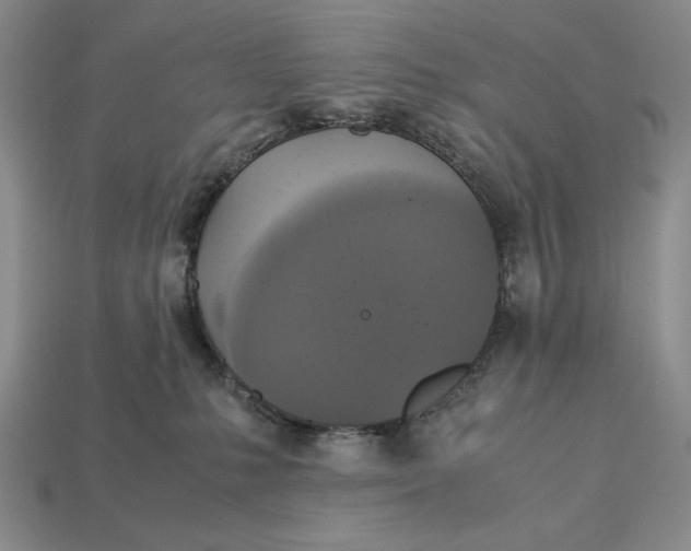 X0000113140231200909181736