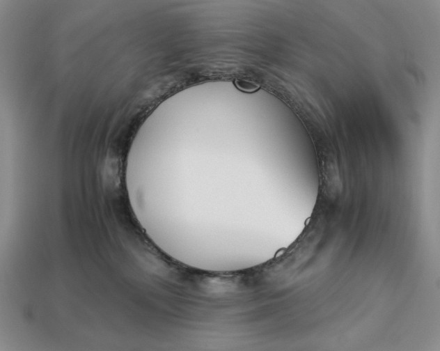 X0000113140232200909181736