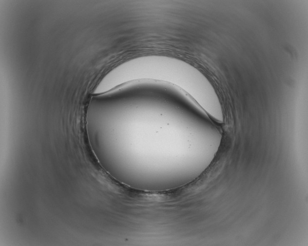 X0000113140233200909181736