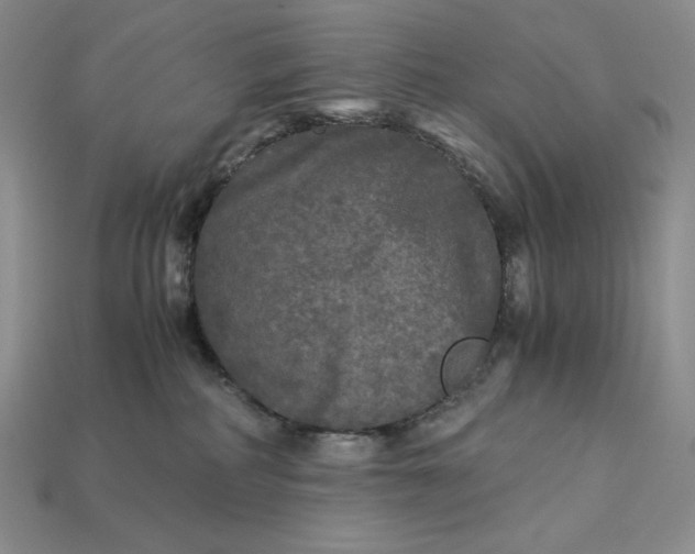 X0000113140234200909181736