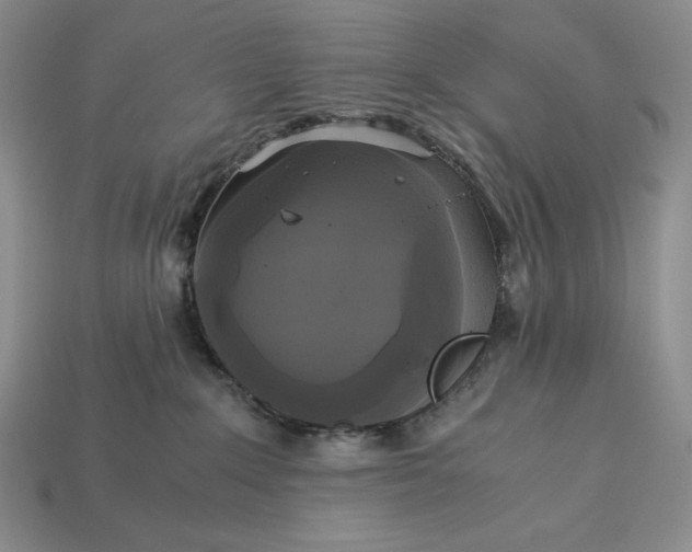 X0000113140235200909181736