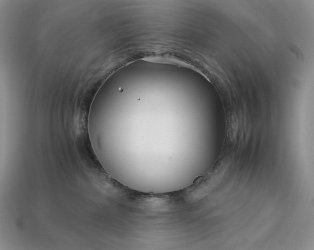 X0000113140236200909181736