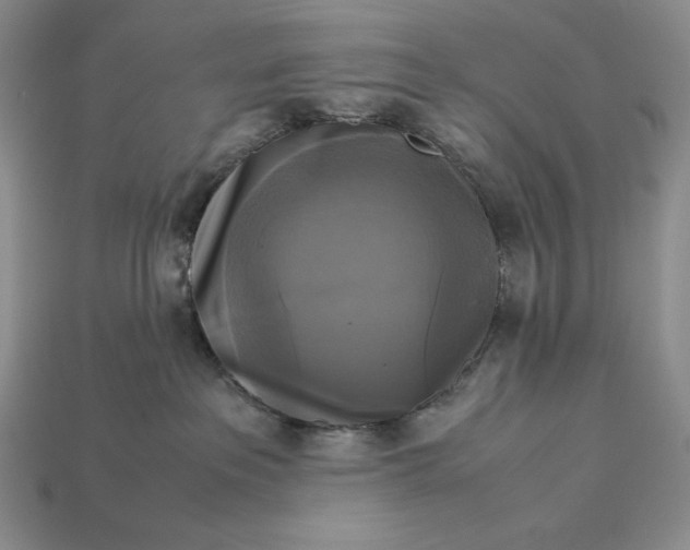 X0000113140237200909181736