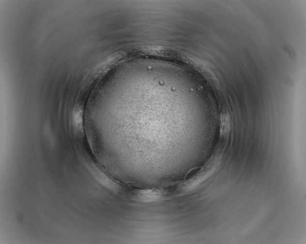 X0000113140238200909181736