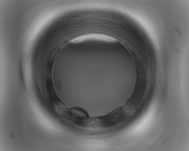 X0000113140239200909181736