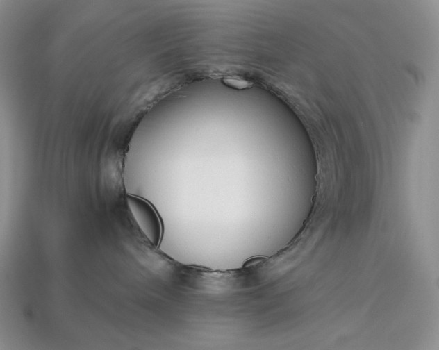 X0000113140240200909181736