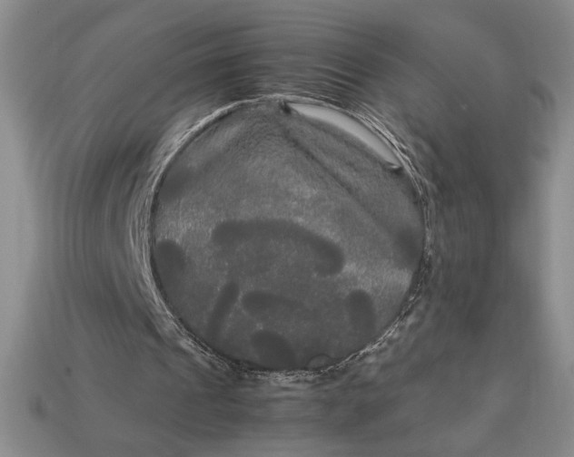 X0000113140241200909181735