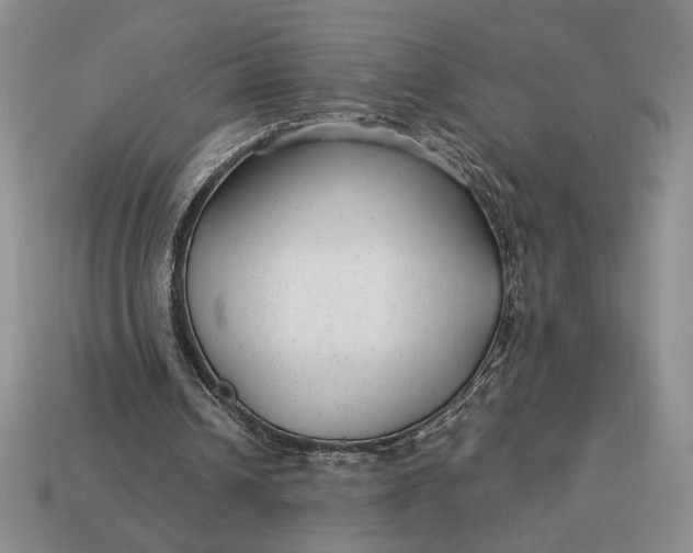 X0000113140242200909181736