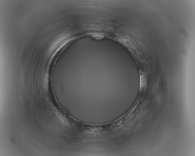 X0000113140243200909181736