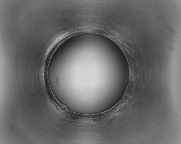 X0000113140244200909181736