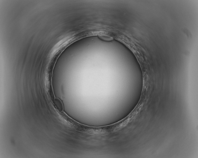 X0000113140245200909181736