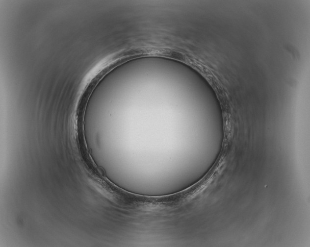 X0000113140246200909181736