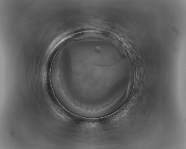 X0000113140247200909181736