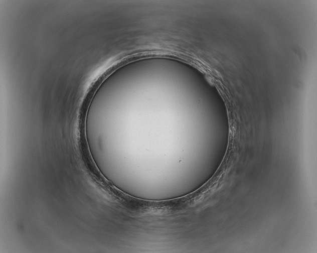 X0000113140248200909181736