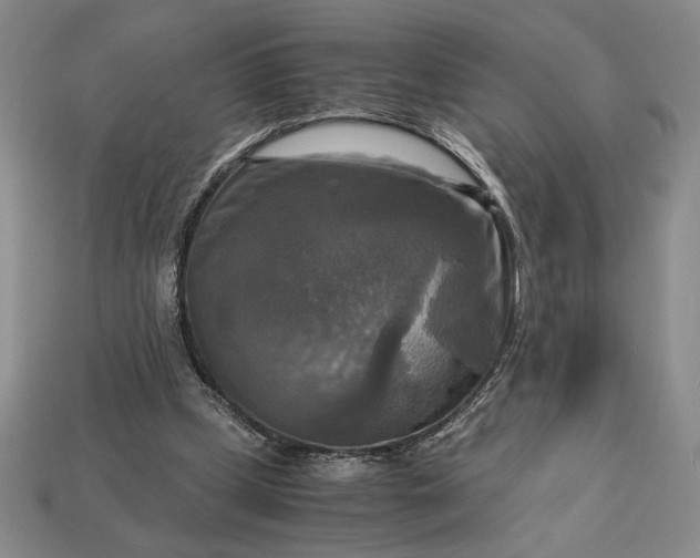 X0000113140249200909181736