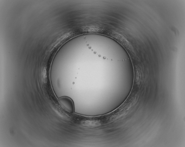 X0000113140251200909181736