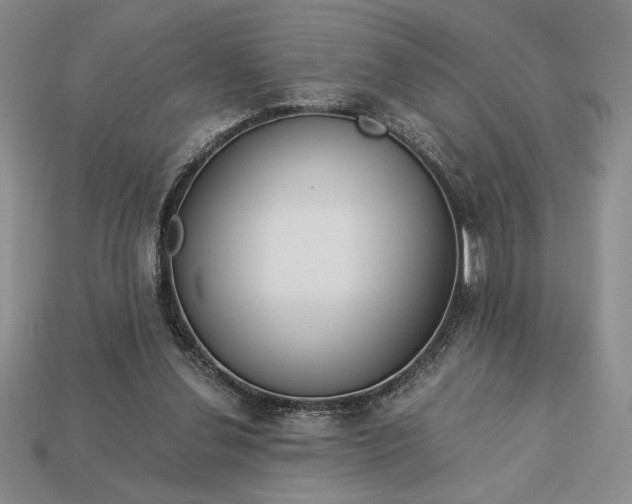 X0000113140252200909181736