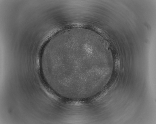 X0000113140254200909181736