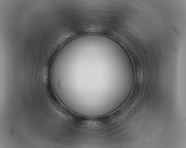 X0000113140255200909181736