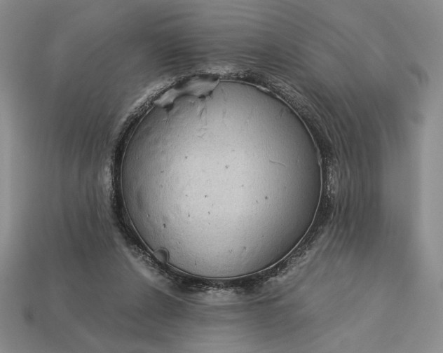 X0000113140256200909181736