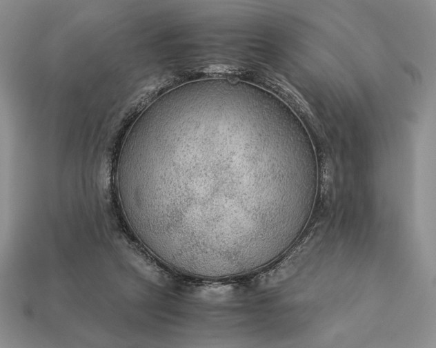 X0000113140257200909181736