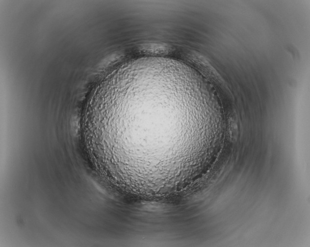 X0000113140259200909181736