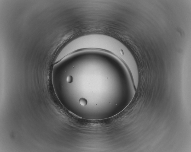 X0000113140260200909181736