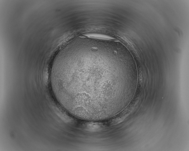 X0000113140261200909181736