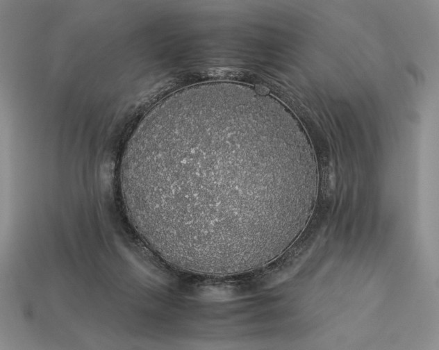 X0000113140263200909181736