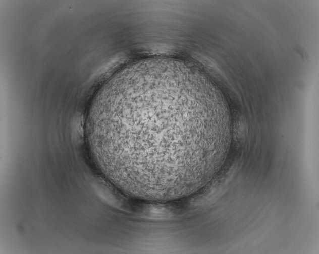 X0000113140264200909181736