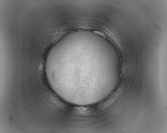 X0000113140265200909181736