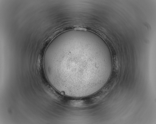 X0000113140266200909181736