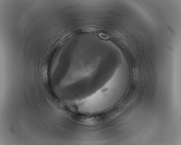 X0000113140267200909181736