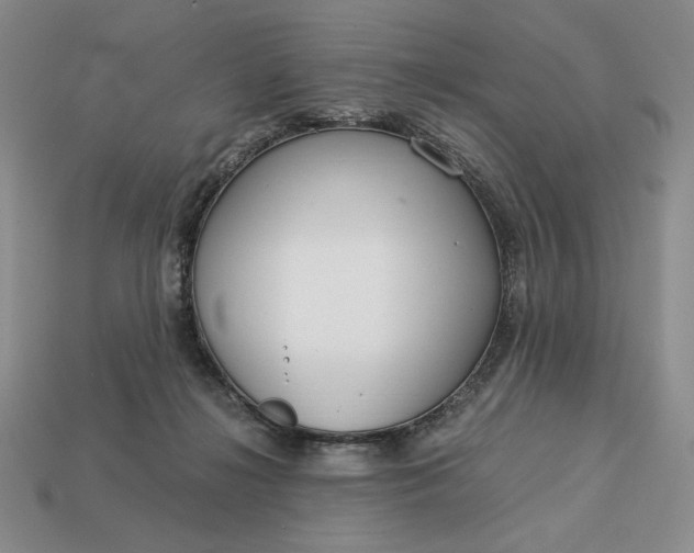 X0000113140268200909181736