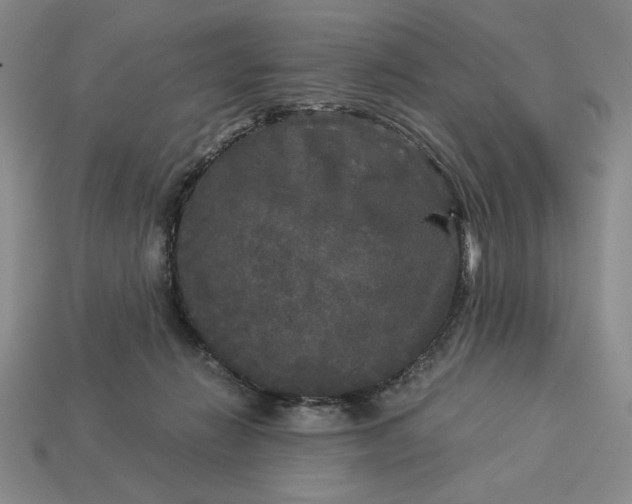 X0000113140270200909181736