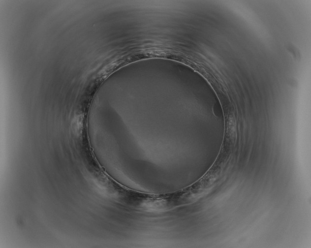 X0000113140271200909181736