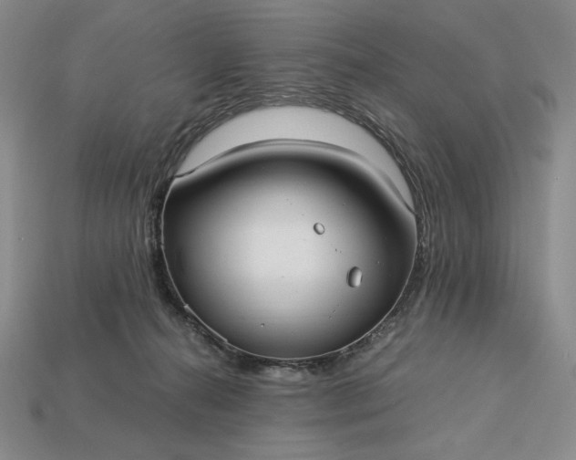 X0000113140272200909181736