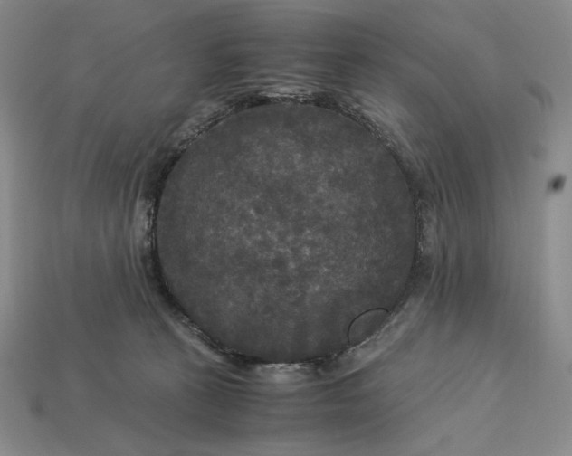 X0000113140273200909181736