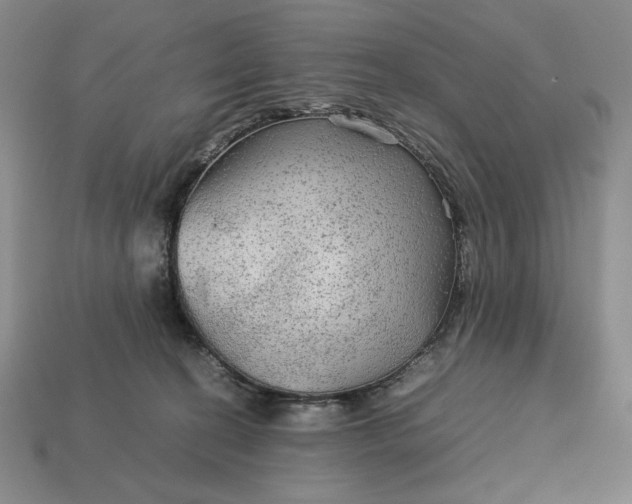 X0000113140274200909181736