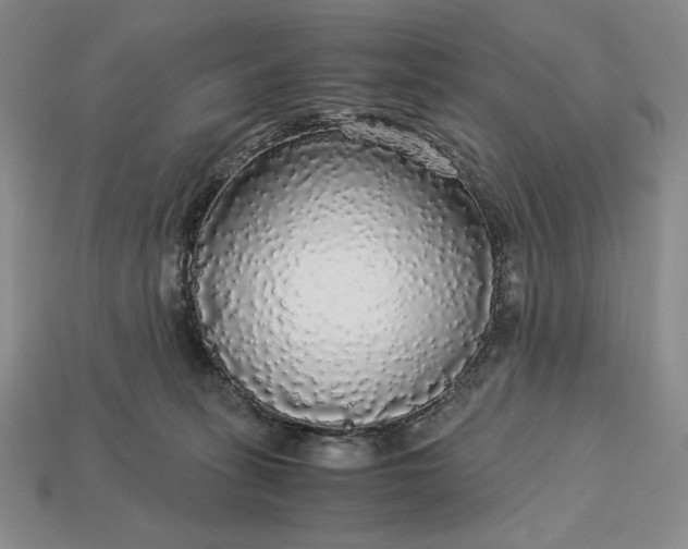 X0000113140275200909181736