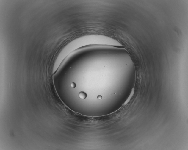 X0000113140276200909181736