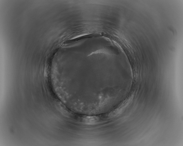 X0000113140277200909181736