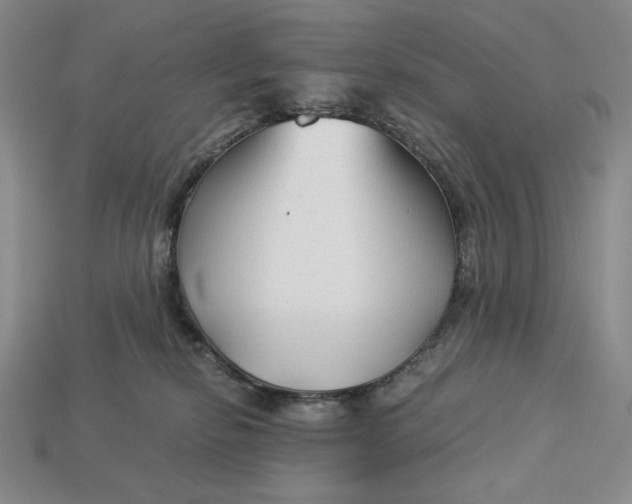 X0000113140278200909181736